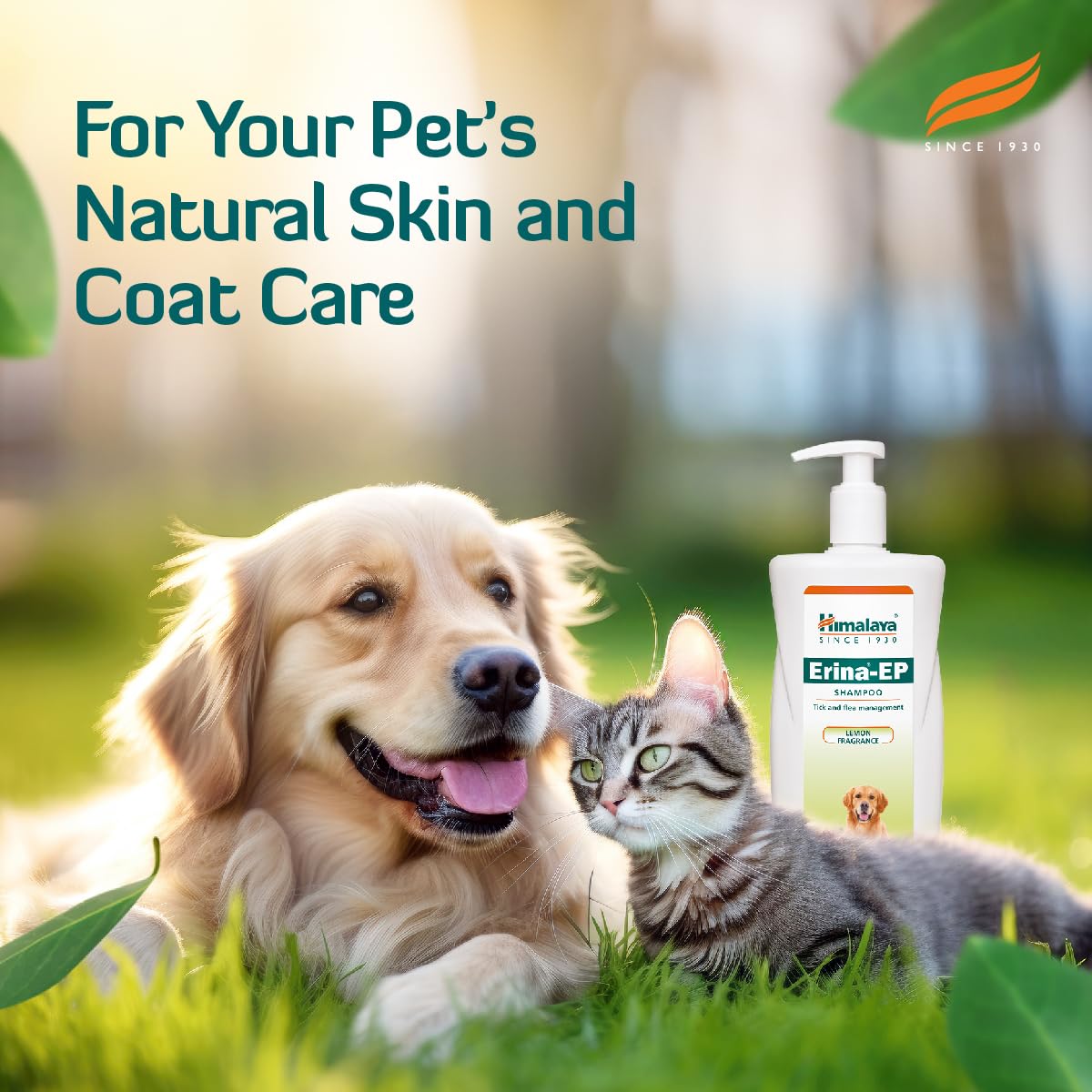 Himalaya Erina-EP Shampoo | 200 ml | Tick & Flea Control for Dogs & Cats | with Neem & Eucalyptus for Skin Health & Hygiene - Image 4